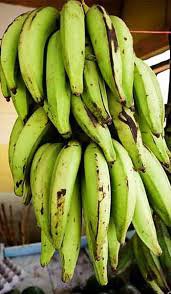 Bananas_plantain